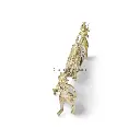 Dokra Palki design white backg  top view_result.webp